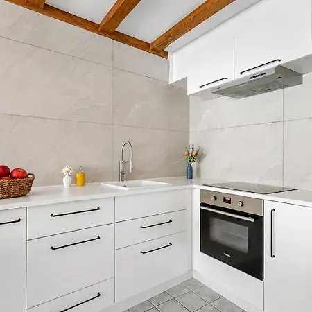 Appartamento T2 Rénové Cœur Historique De Colmar